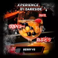 Darkside XPERIENCE Berry VS