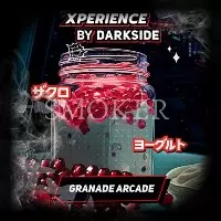 Darkside XPERIENCE Granade Arcade